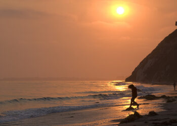 Angel Investing: Fools Rush In Where Family Offices Dare To Tread