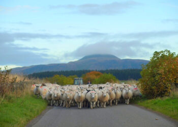 4 Biggest Road Blocks to Startup Productivity