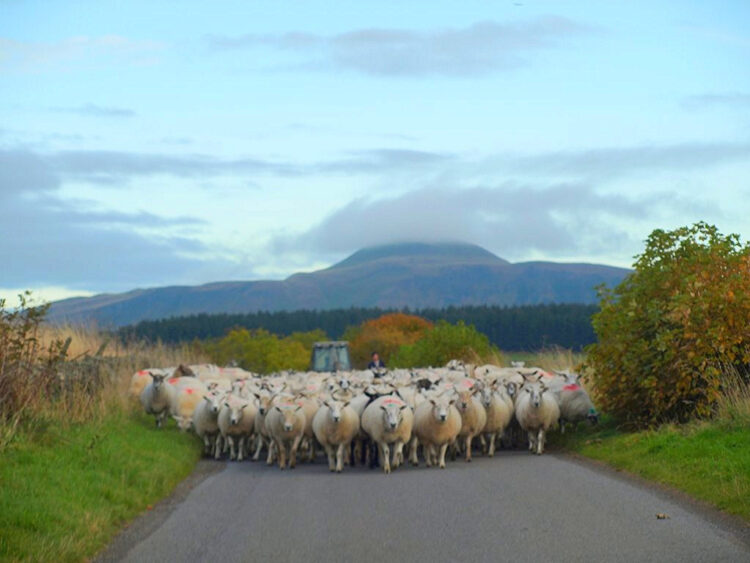 4 Biggest Road Blocks to Startup Productivity