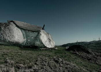 How Entrepreneurs Must Reinvent Themselves To Thrive