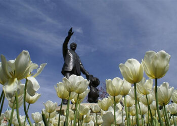 Finding The Right Business Partner Is Elementary