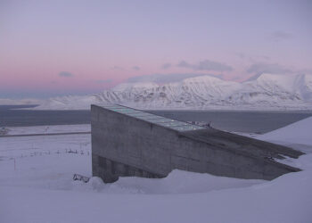 8 Secrets To Managing a Totally Virtual Team