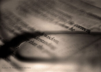 7 Words of Wisdom Messages for Every Entrepreneur