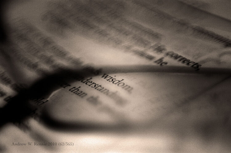 7 Words of Wisdom Messages for Every Entrepreneur