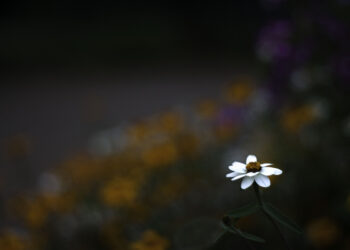 Are You Unmistakable?