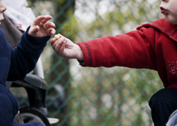 How Much Founder Stock Should You Offer Co-Founders?