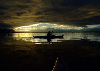 In the World of Startups, Consultants Need Not Apply