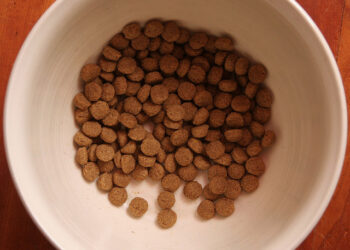 Eating Your Own Dog Food