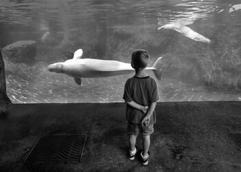 Top 7 Hardest Working Native Advertising Strategies for Publishers