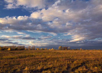 Entrepreneurs Are Winning With a New Startup Model