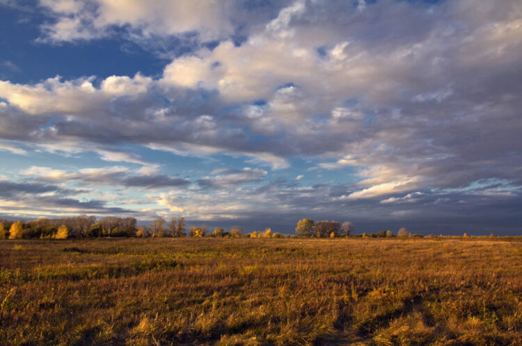 Entrepreneurs Are Winning With a New Startup Model