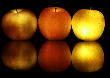 Entrepreneurs Work On The Business As Well As In It