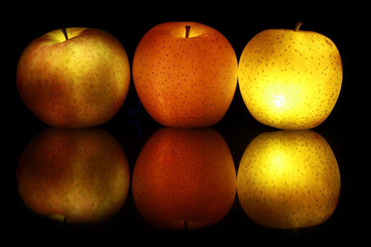 Entrepreneurs Work On The Business As Well As In It