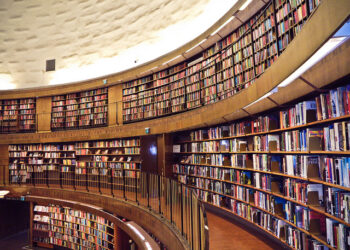 The Limited Liability Company: A Look into the Term