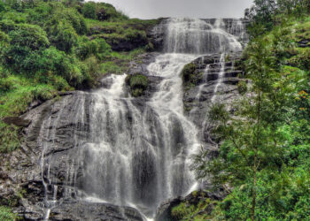 Do not Go Chasing Distribution Waterfalls: The Future of VC Compensation