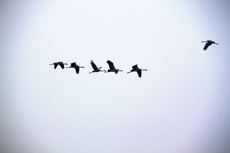 Be a Business Leader as Well as a Thought Leader