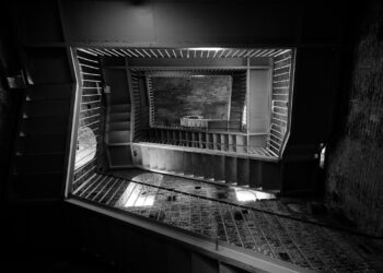 The 7 Most Important Tips for Your Startup