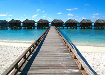 Many Entrepreneurs Believe Viral Marketing is Free