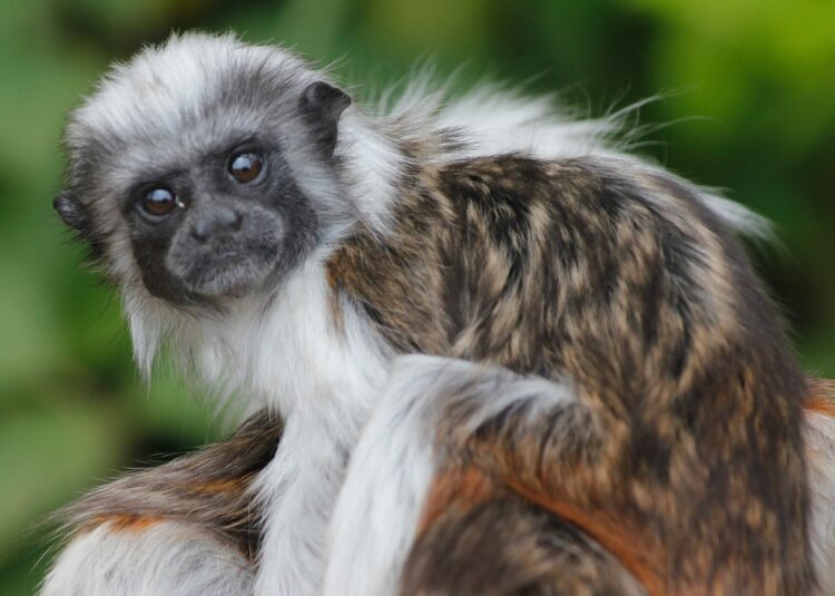 Entrepreneurs Need To Be Experts On Social Change