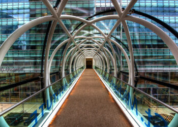 The Connection Between Domain Expertise and Successful Startups