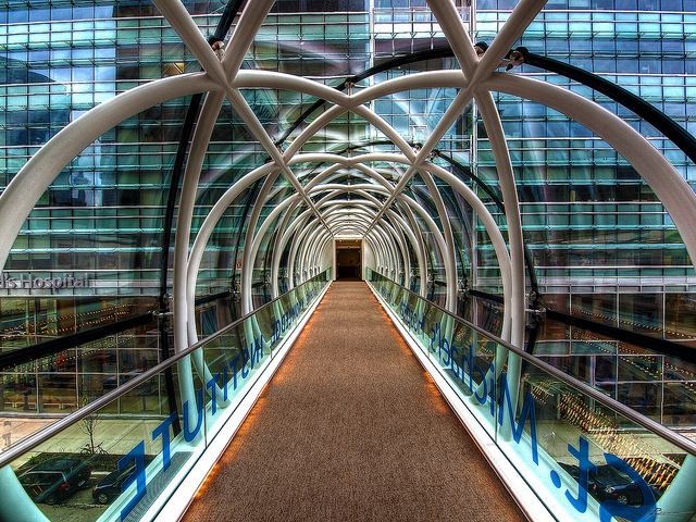 The Connection Between Domain Expertise and Successful Startups