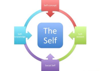 6 Tools to Assess Your Potential as an Entrepreneur