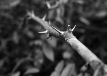 You Need to Learn How These 4 Startups Made Passion and Pain Points Work for Them