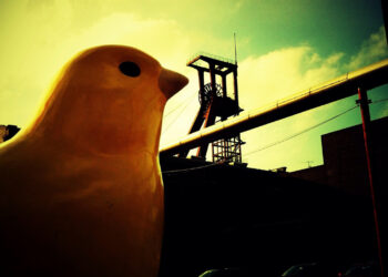 An Inclusive Parable: Canaries in the Coal Mine