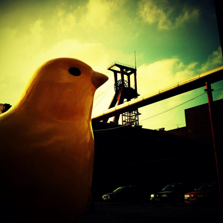 An Inclusive Parable: Canaries in the Coal Mine