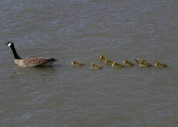 Ready to Spike Engagement Scores?