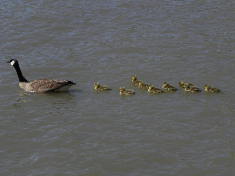 Ready to Spike Engagement Scores?