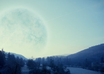 A Beginners Guide To Managing Manipulation