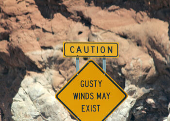 Exploring the Platform Agnostic Approach