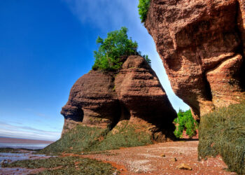 The Discipline Of Execution Defines An Entrepreneur