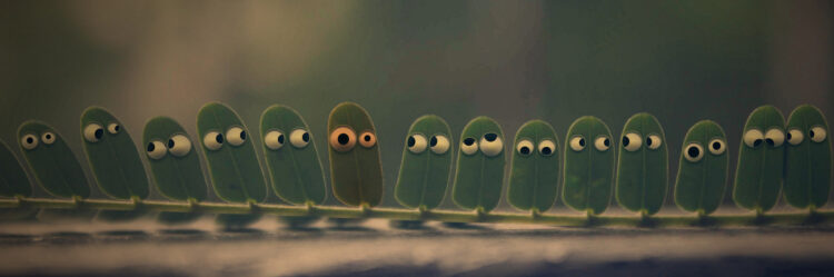 Social Media Goals: Being Found vs. Standing Out