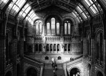 How to Focus on Business Ideas That Create History