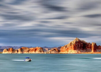 Startup Company Lifecycle and Culture Change Too Fast Today