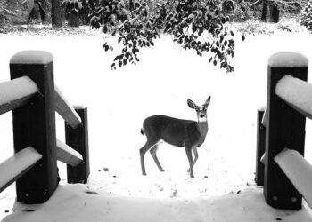 8 Dumb Questions Entrepreneurs Should Never Ask