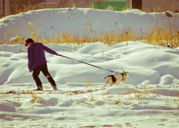 The Art of Being Unreasonable