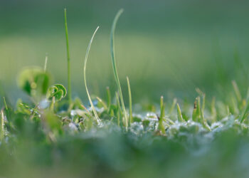 5 Important Growth Hacking Lessons from the Man Who Coined the Term