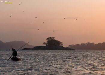 9 Things Noah (The Biblical One) Can Teach Entrepreneurs