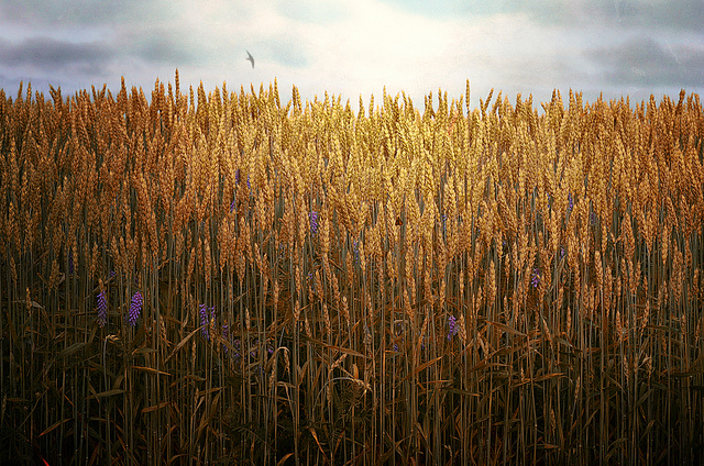 Budget for Startup Marketing From Day One