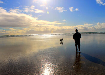 Make Every Member of Your Startup Act Like an Owner