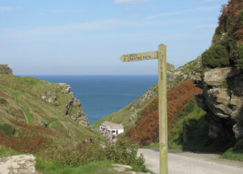 Entrepreneurship The Path of Uncertainty