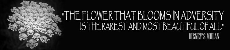 6 Principles for Overcoming Entrepreneurial Adversity