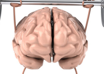 4 Easy Ways to Optimized Your Brain’s Performance