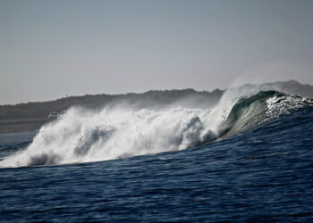 Can Startups Surf the Huge Information Tidal Wave?