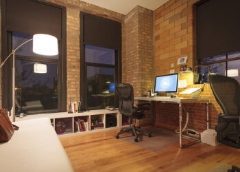 Can Your Startup Flourish Despite Business Chaos?