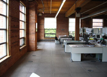 Culture and Management: What Works for a Startup?