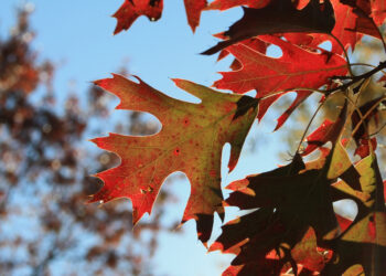 Extend Your Range of Change